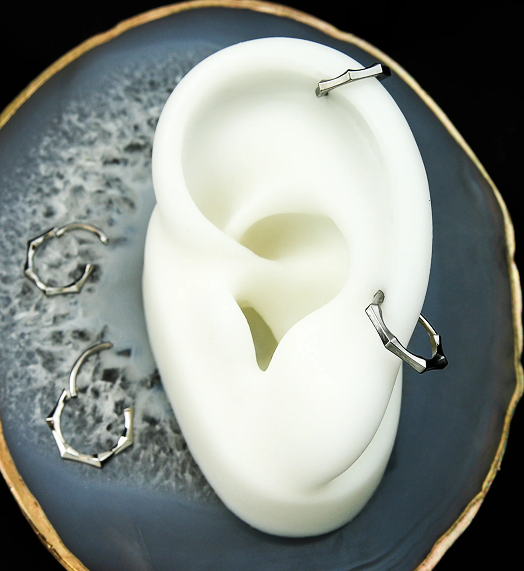 Sector Titanium Hinged Segment Ring - Mrs Treak