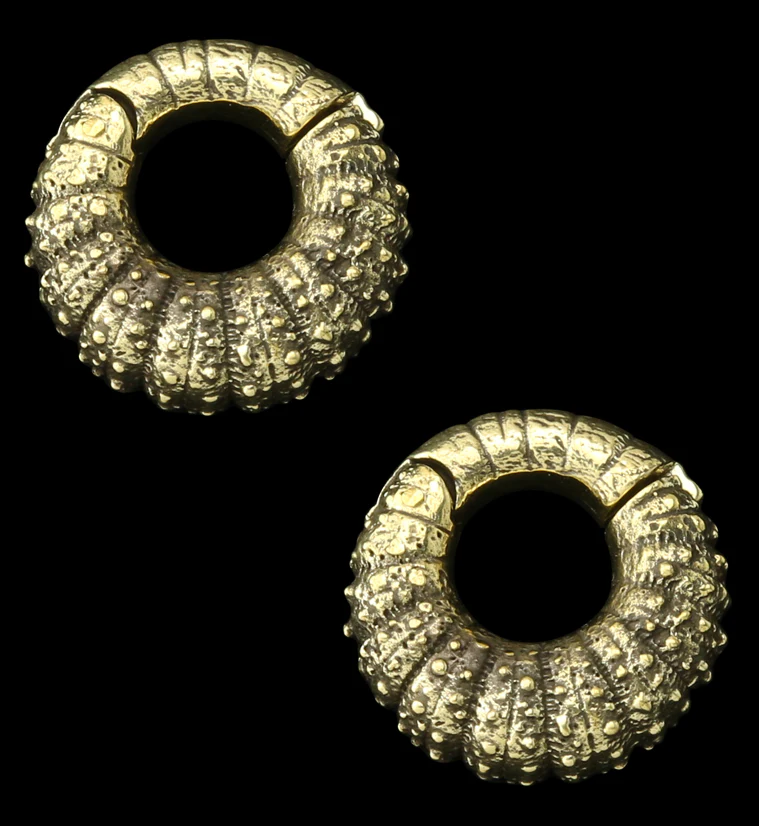 Barnacle Brass Hinged Ear Weights - Mrs Treak