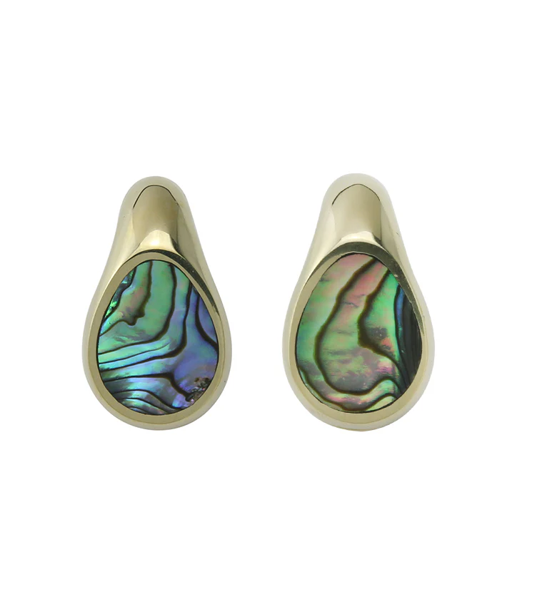 Abalone Keyhole Brass Ear Weights - Mrs Treak