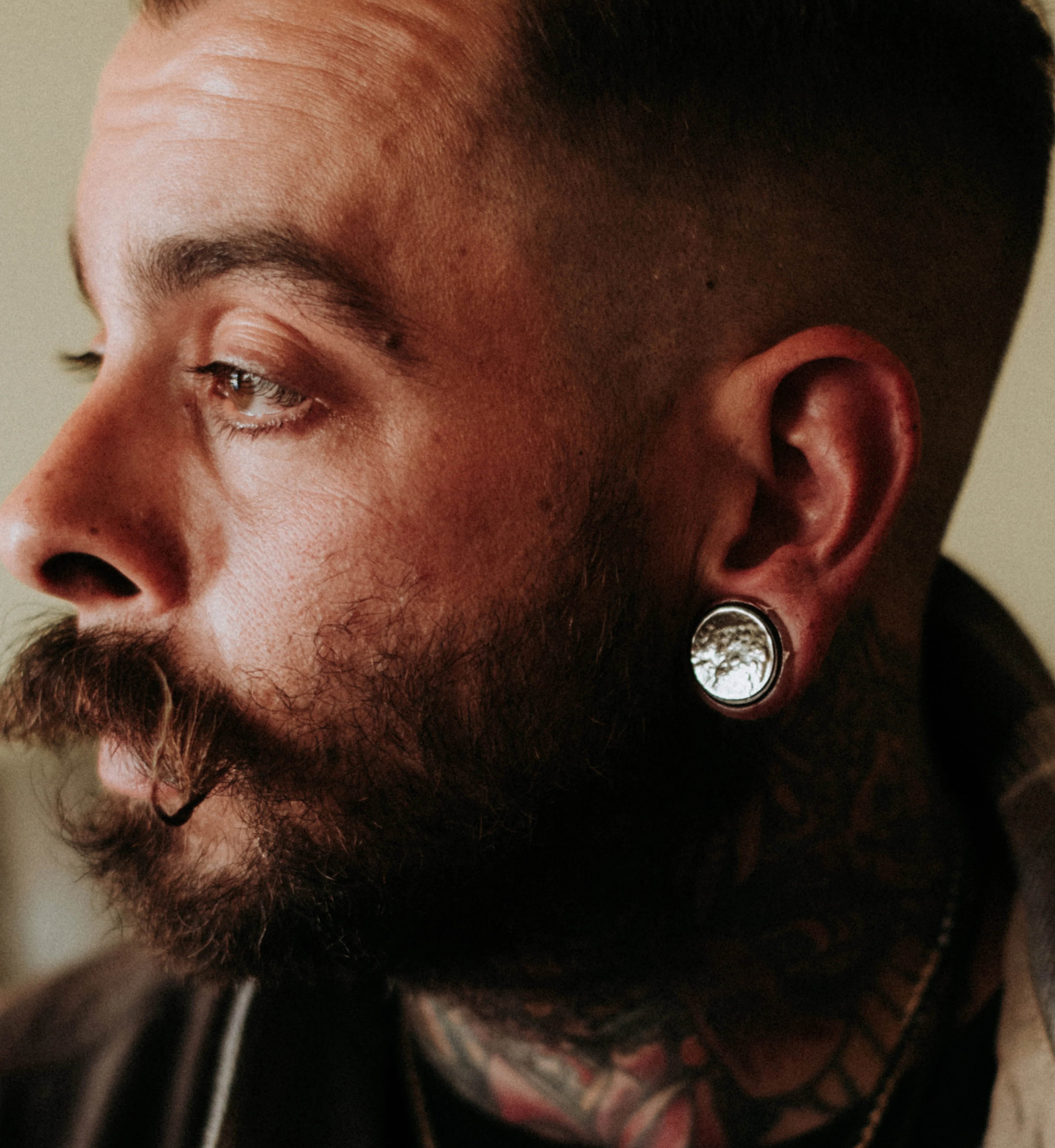 Hammered White Brass Inlay Areng Wood Plugs - Mrs Treak