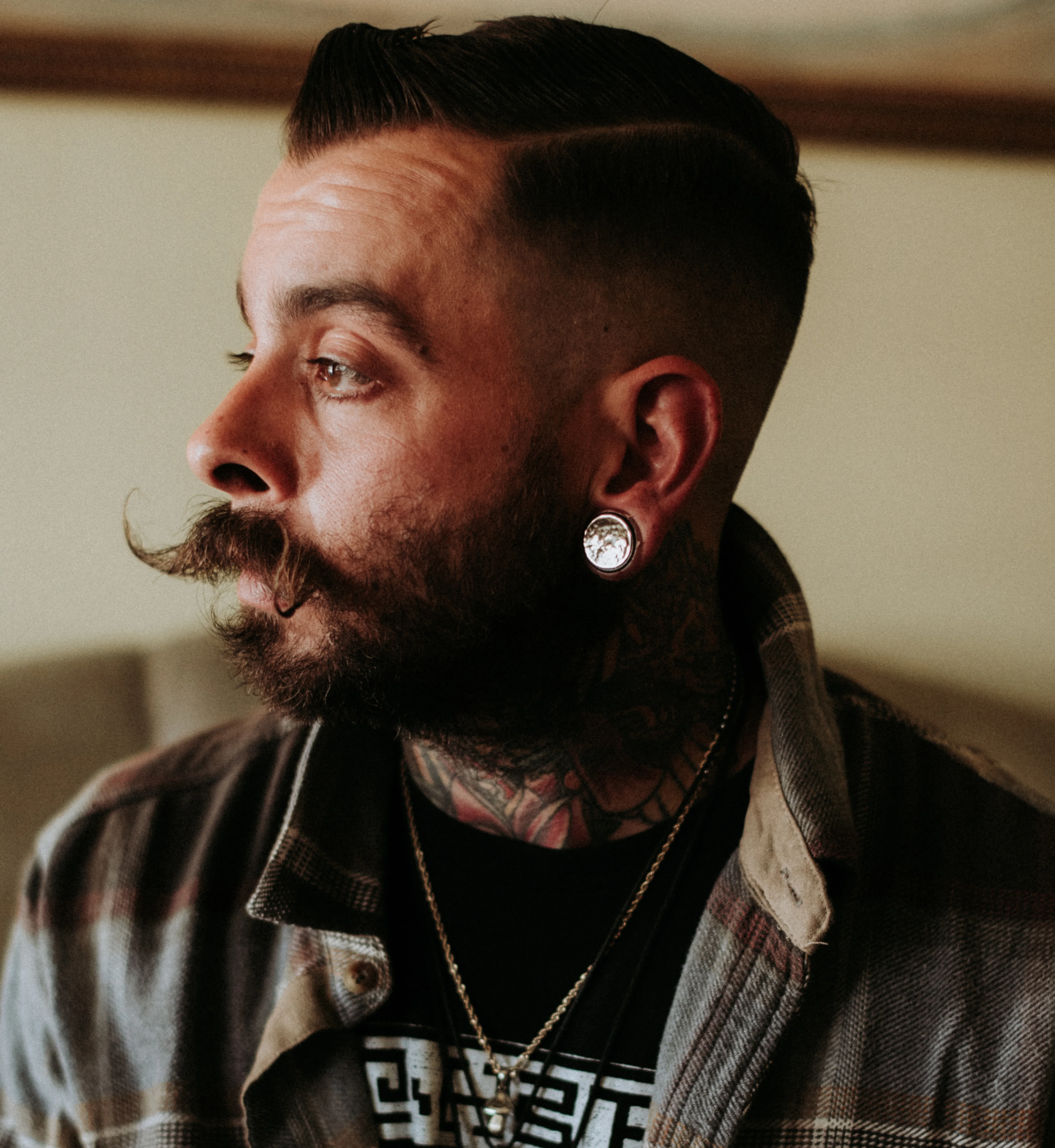 Hammered White Brass Inlay Areng Wood Plugs - Mrs Treak