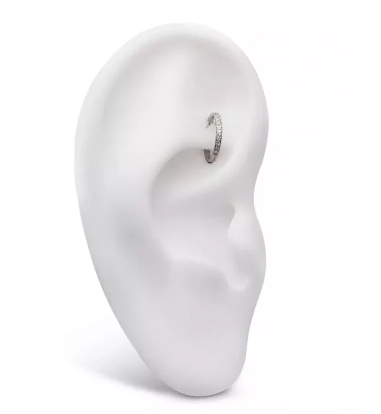 Band CZ Titanium Hinged Segment Ring - Mrs Treak