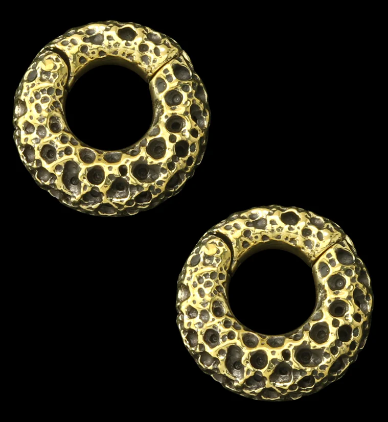 Coral Sponge Brass Hinged Ear Weights - Mrs Treak