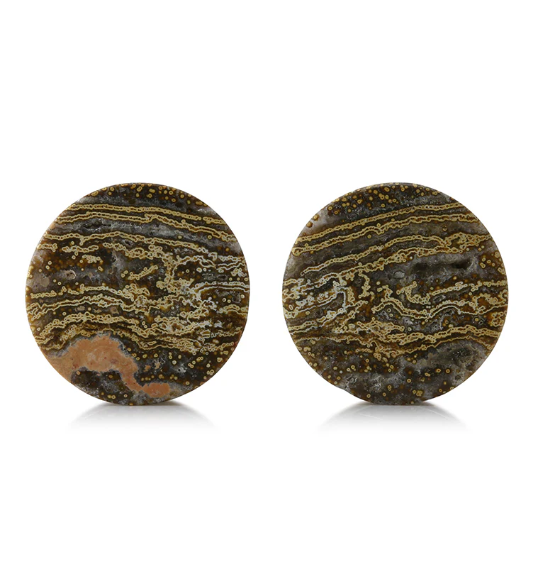 Ocean Jasper Stone Plugs 1 & 1/8