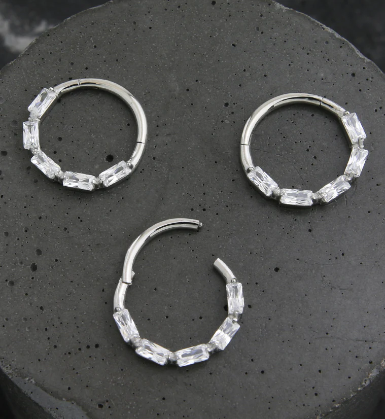 Terrace Clear CZ Stainless Steel Hinged Segment Ring - Mrs Treak