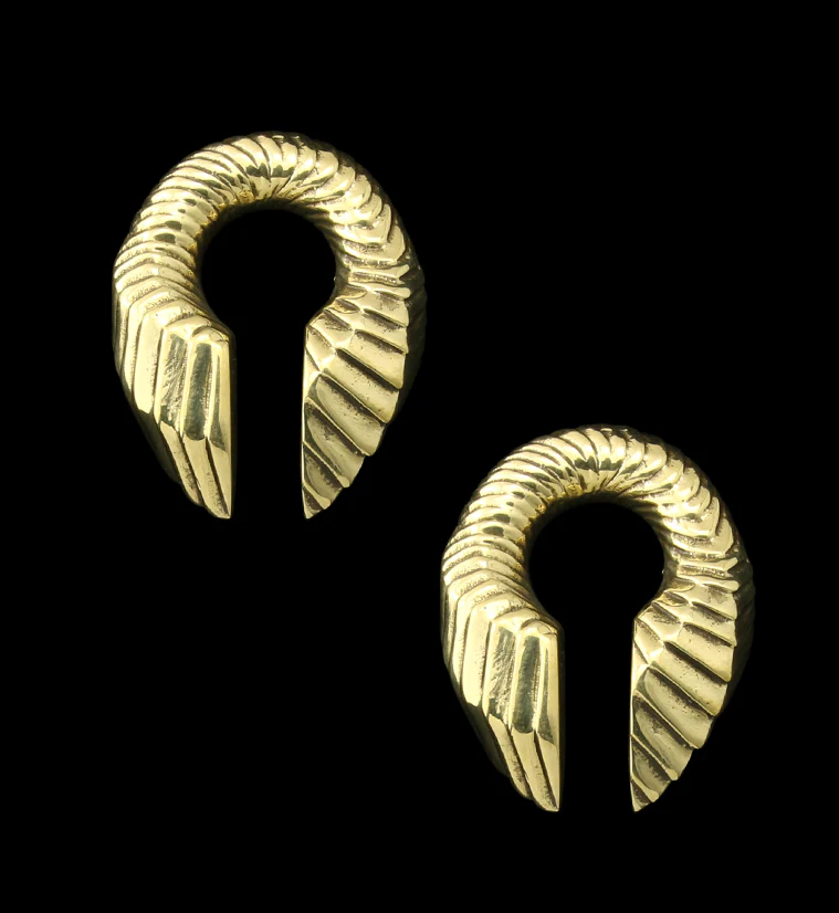 Proxy Keyhole Brass Ear Weights - Mrs Treak