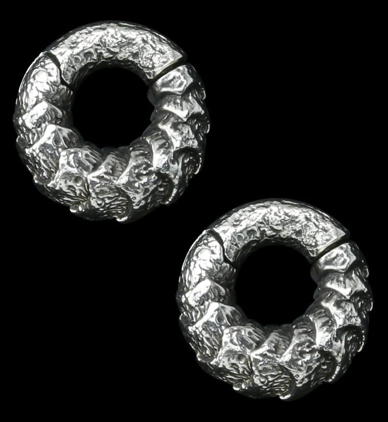 Scales White Brass Hinged Ear Weights - Mrs Treak