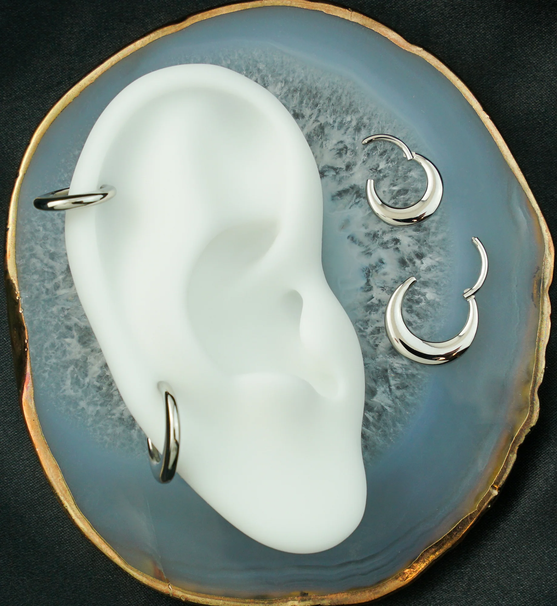 Vast Stainless Steel Hinged Segment Ring - Mrs Treak