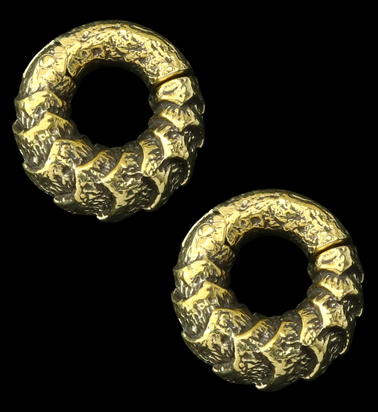 Scales Brass Hinged Ear Weights - Mrs Treak