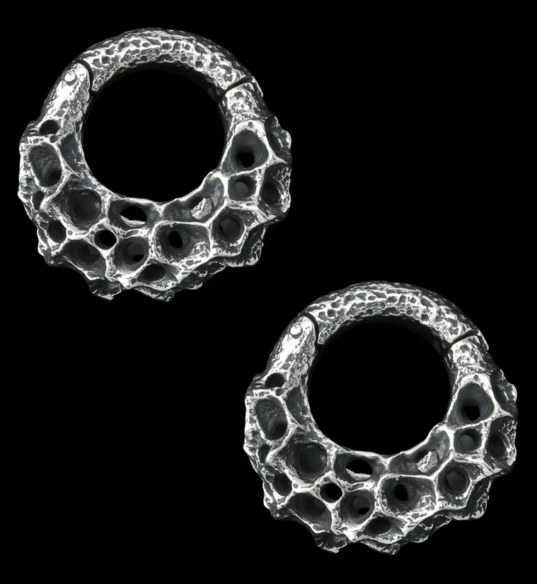 Crater White Brass Hinged Ear Weights - Mrs Treak