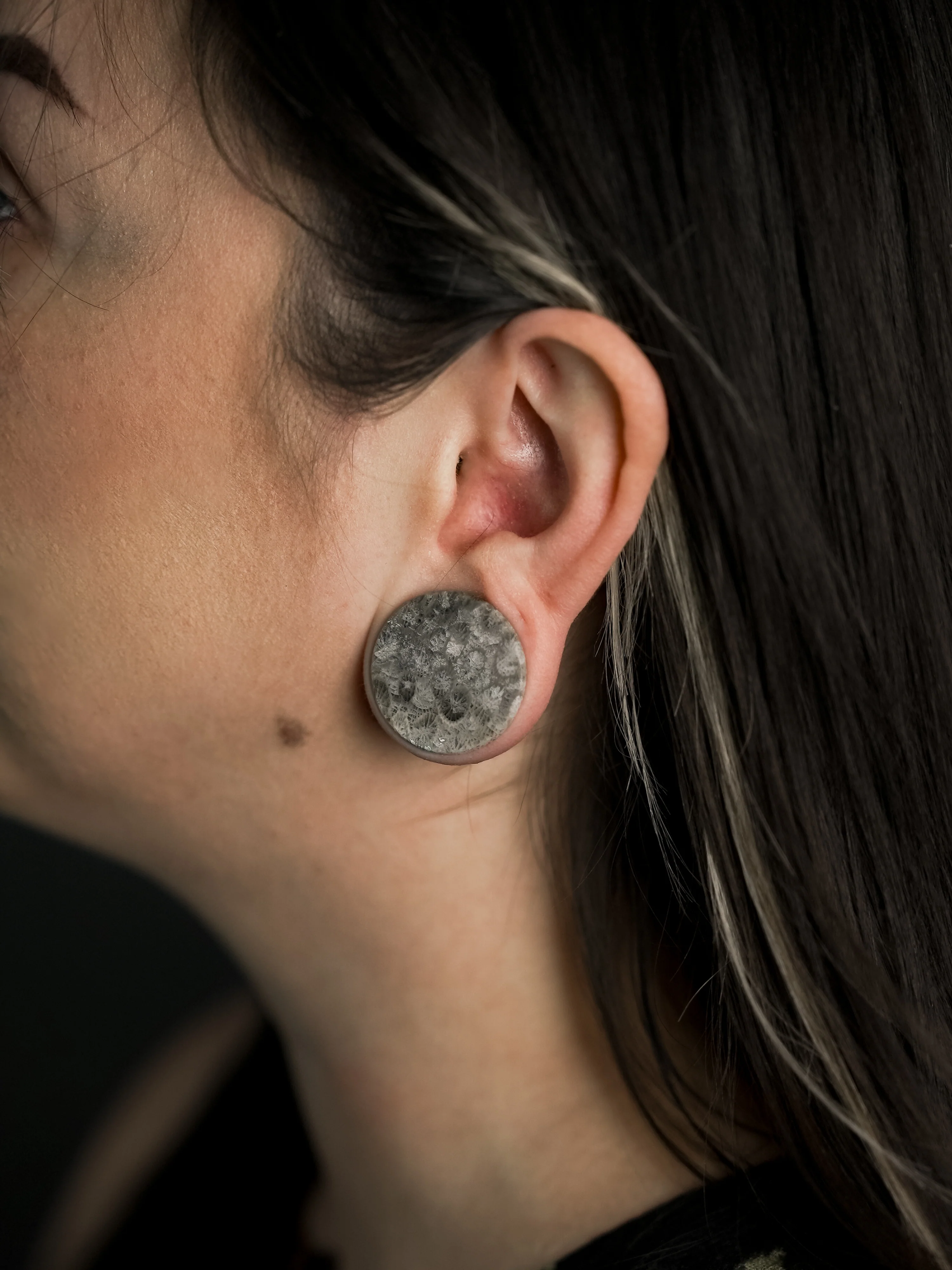 Blue Fossilized Coral Stone Plugs - Mrs Treak