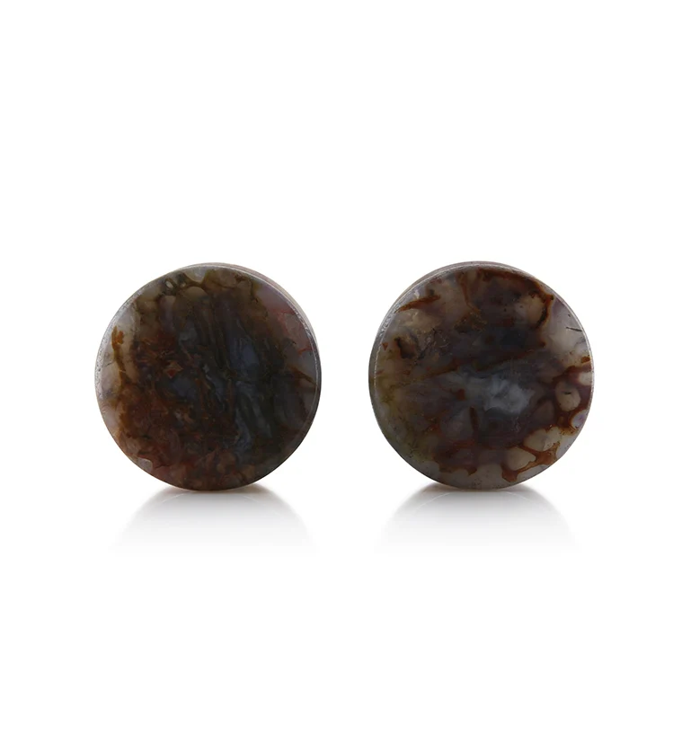 Fossilized Dinosaur Bone Plugs 9/16