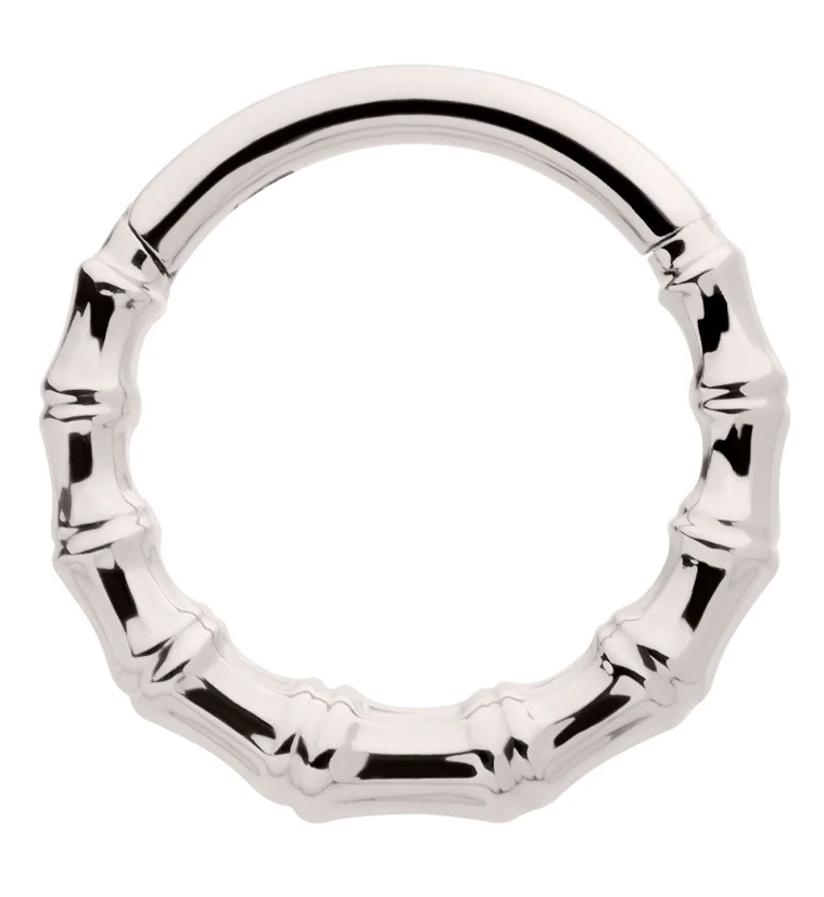 Bamboo Titanium Hinged Segment Ring - Mrs Treak