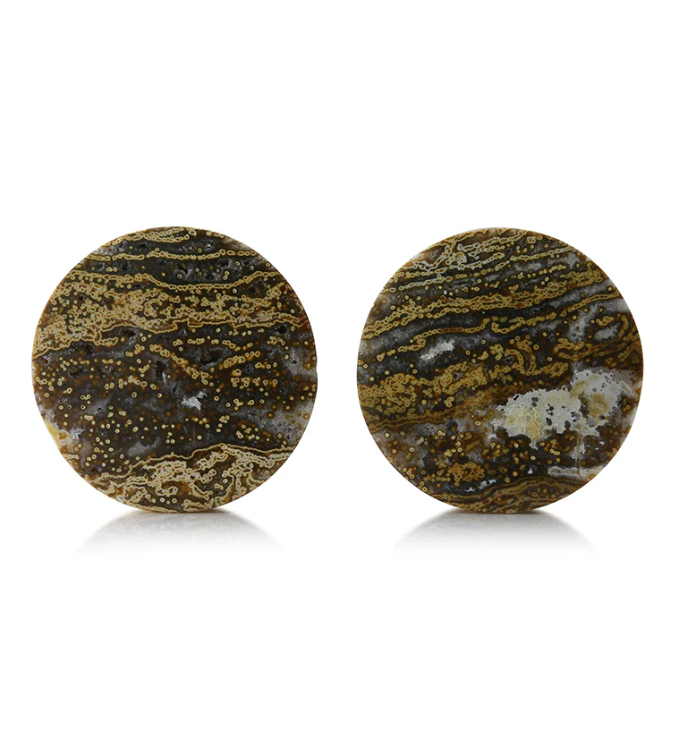 Ocean Jasper Stone Plugs 1 & 1/4