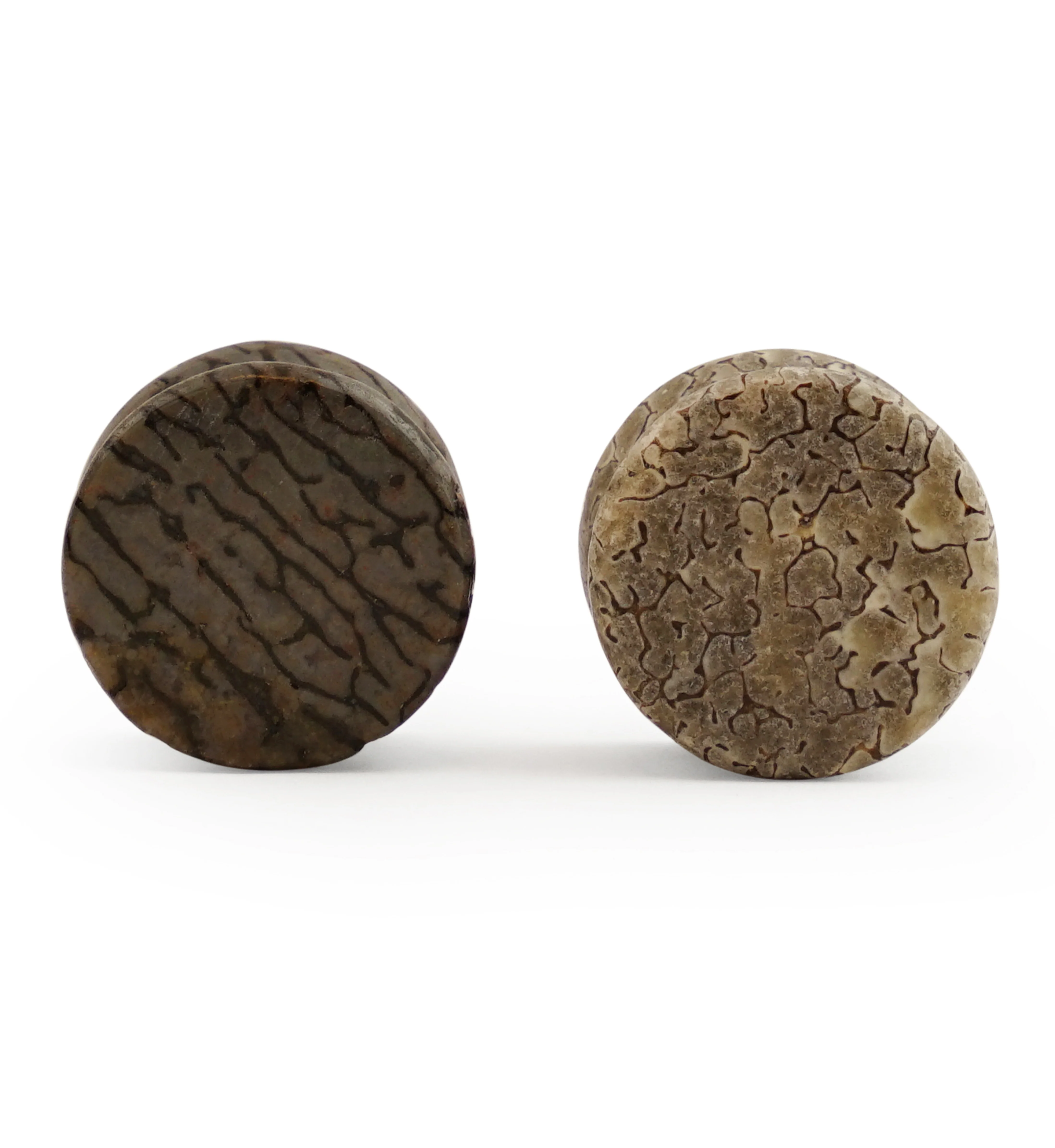 Fossilized Dinosaur Bone Plugs 5/8