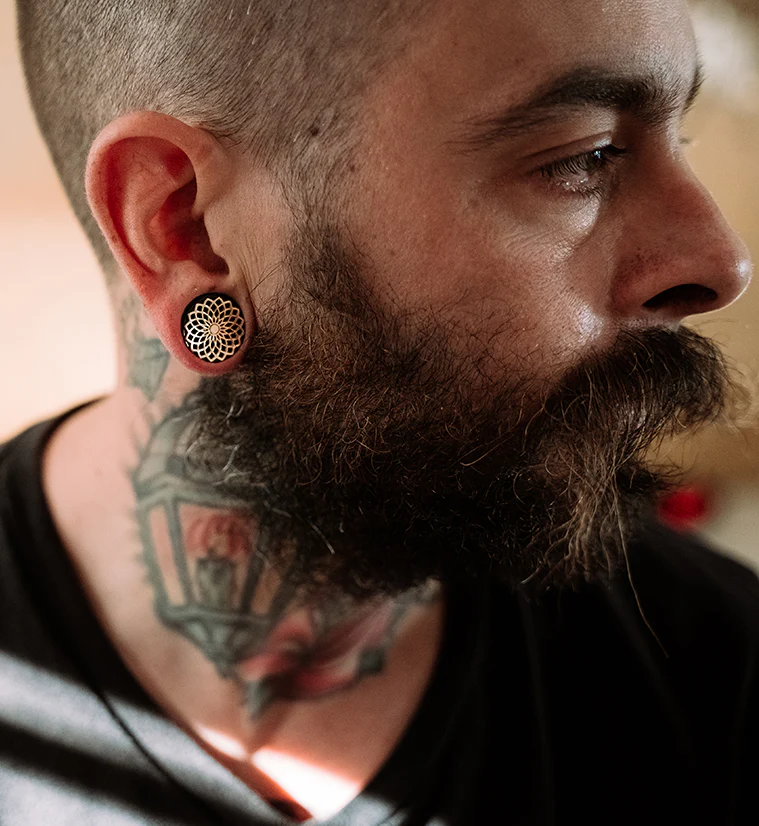 Mandala Frame Obsidian Plugs - Mrs Treak