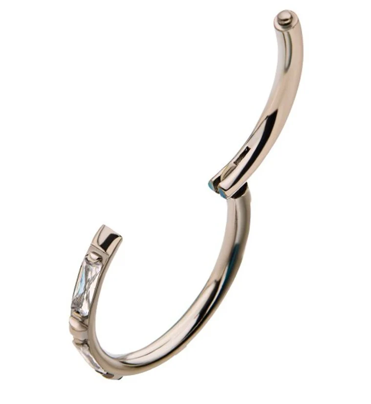 Gullion CZ Hinged Segment Ring - Mrs Treak