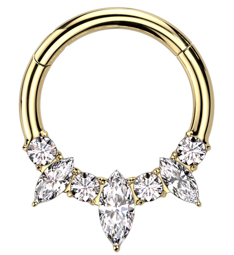 Gold PVD Medley Clear CZ Titanium Hinged Segment Ring - Mrs Treak