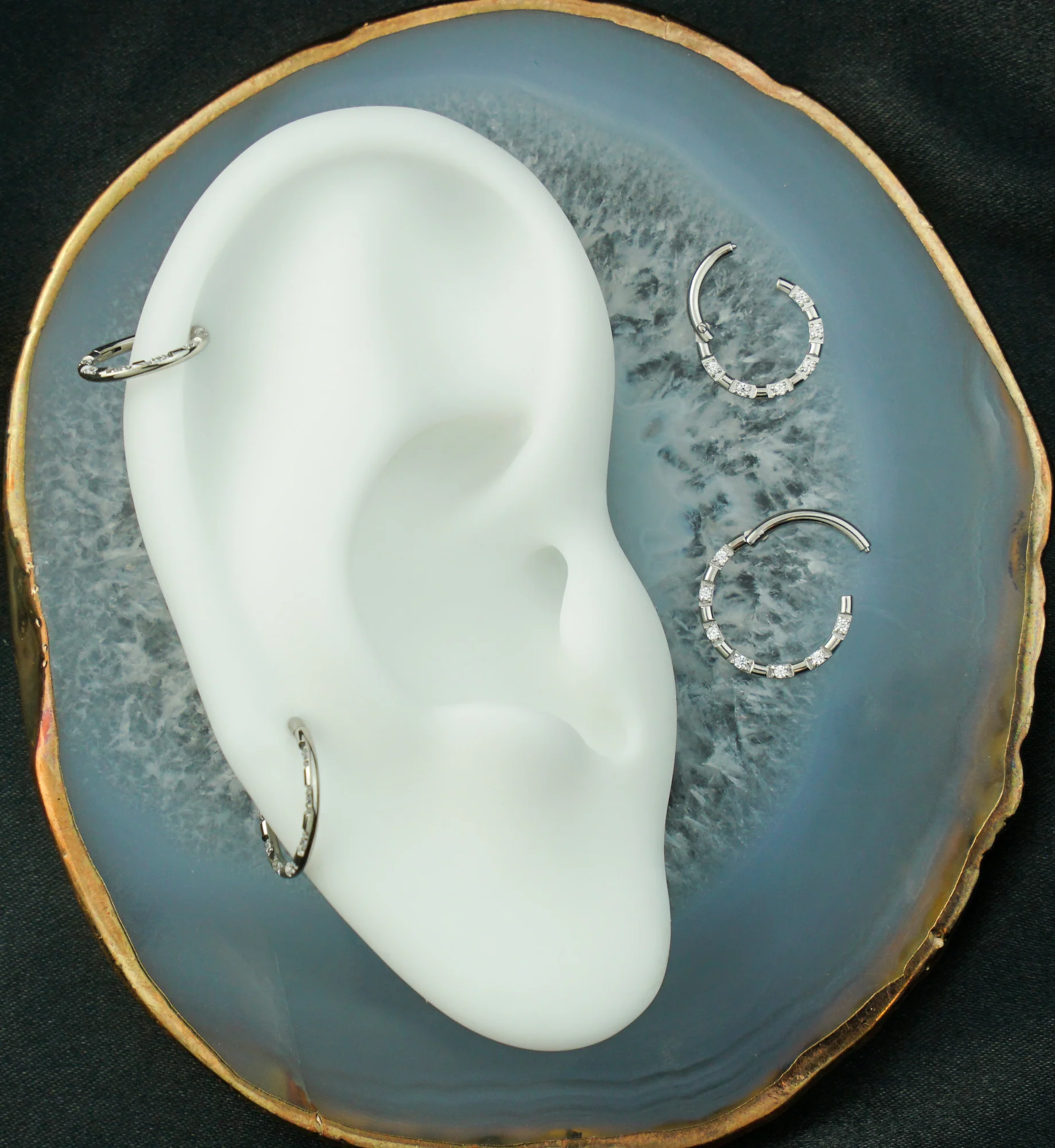 Spotted Round Clear CZ Stainless Steel Hinged Segment Ring - Mrs Treak