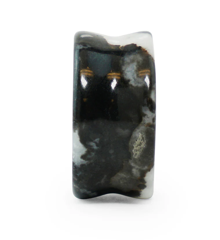 Zebra Jasper Stone Plugs - Mrs Treak