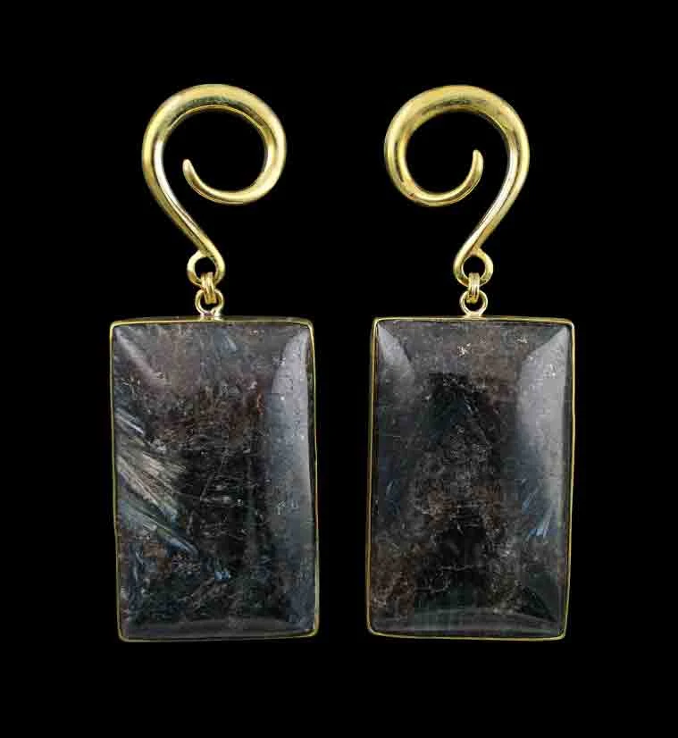 Arfvedsonite Stone Hanging Rectangular Ear Weights - Mrs Treak