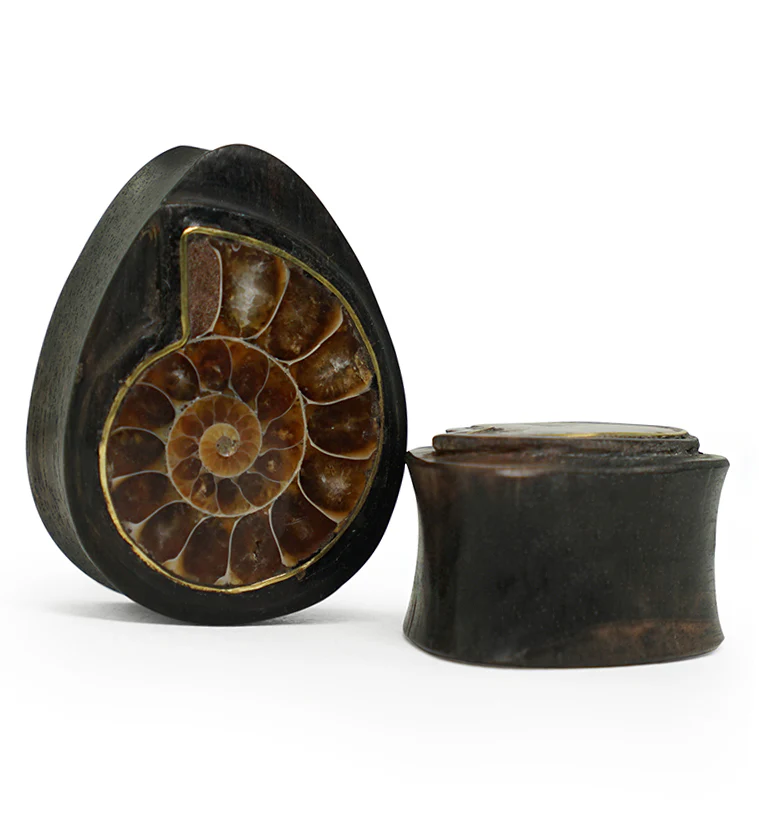 Areng Wood Teardrop Plugs with Ammonite Inlay - Mrs Treak
