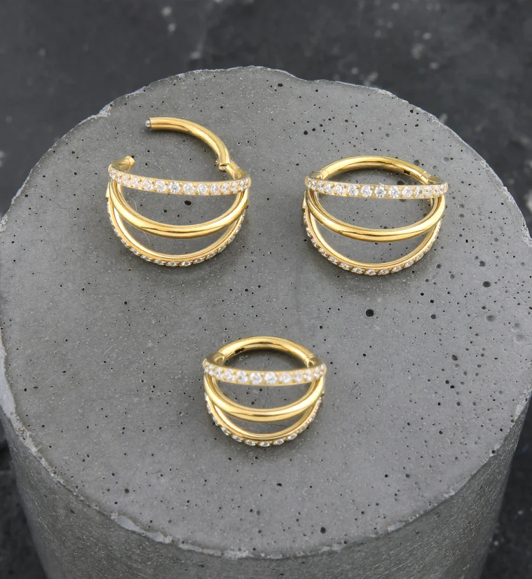 24kt Gold PVD Triple Side Bar Dual Clear CZ Row Titanium Hinged Segment Ring - Mrs Treak
