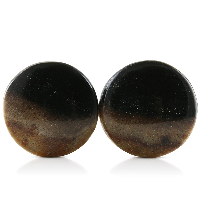 Petrified Wood Plugs 3-4