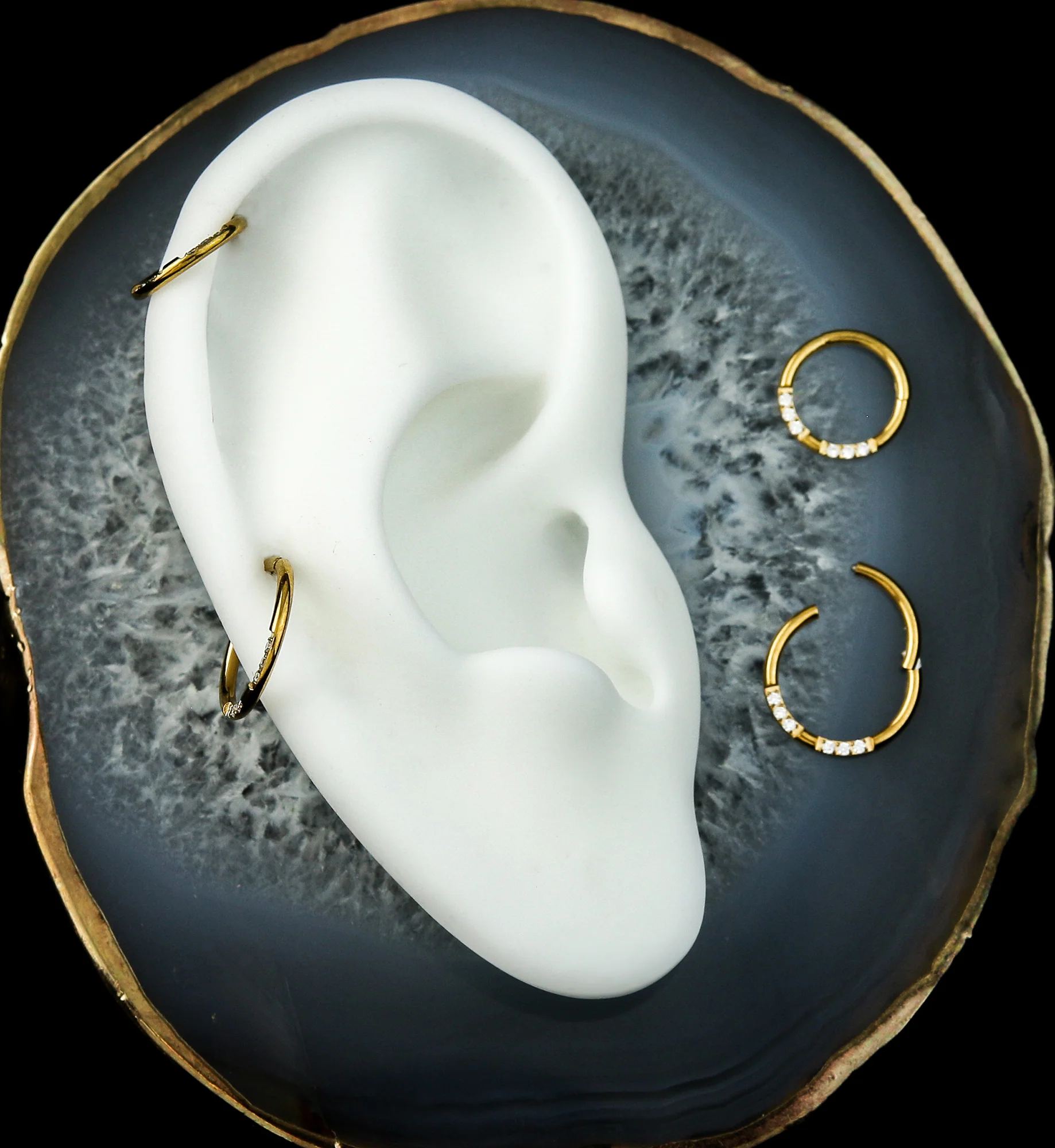 Gold PVD Ethereal Front Facing Clear CZ Stainless Steel Hinged Segment Ring - Mrs Treak