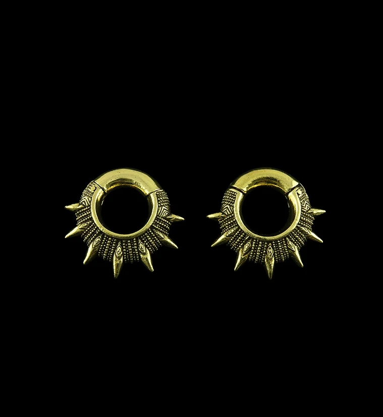 Apex Hinged Ear Weights - Mrs Treak