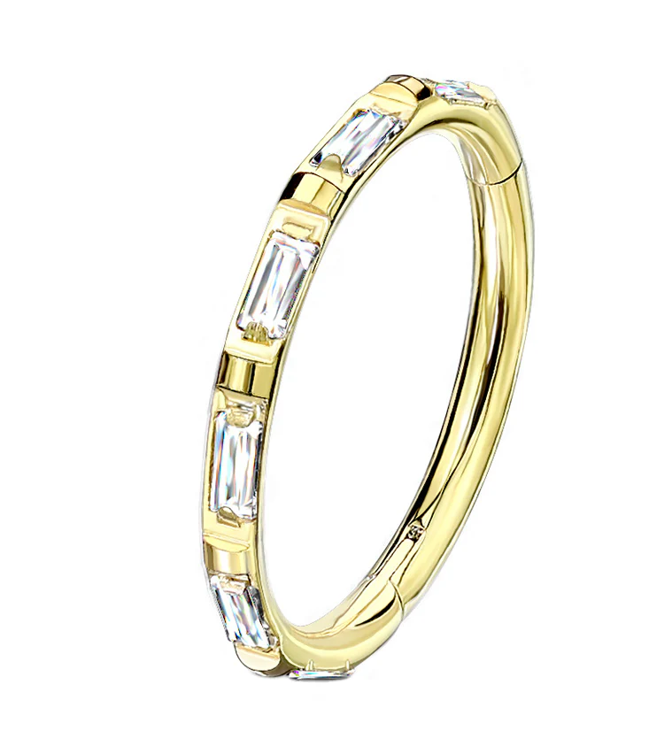 Gullion CZ Gold PVD Titanium Hinged Segment Ring - Mrs Treak