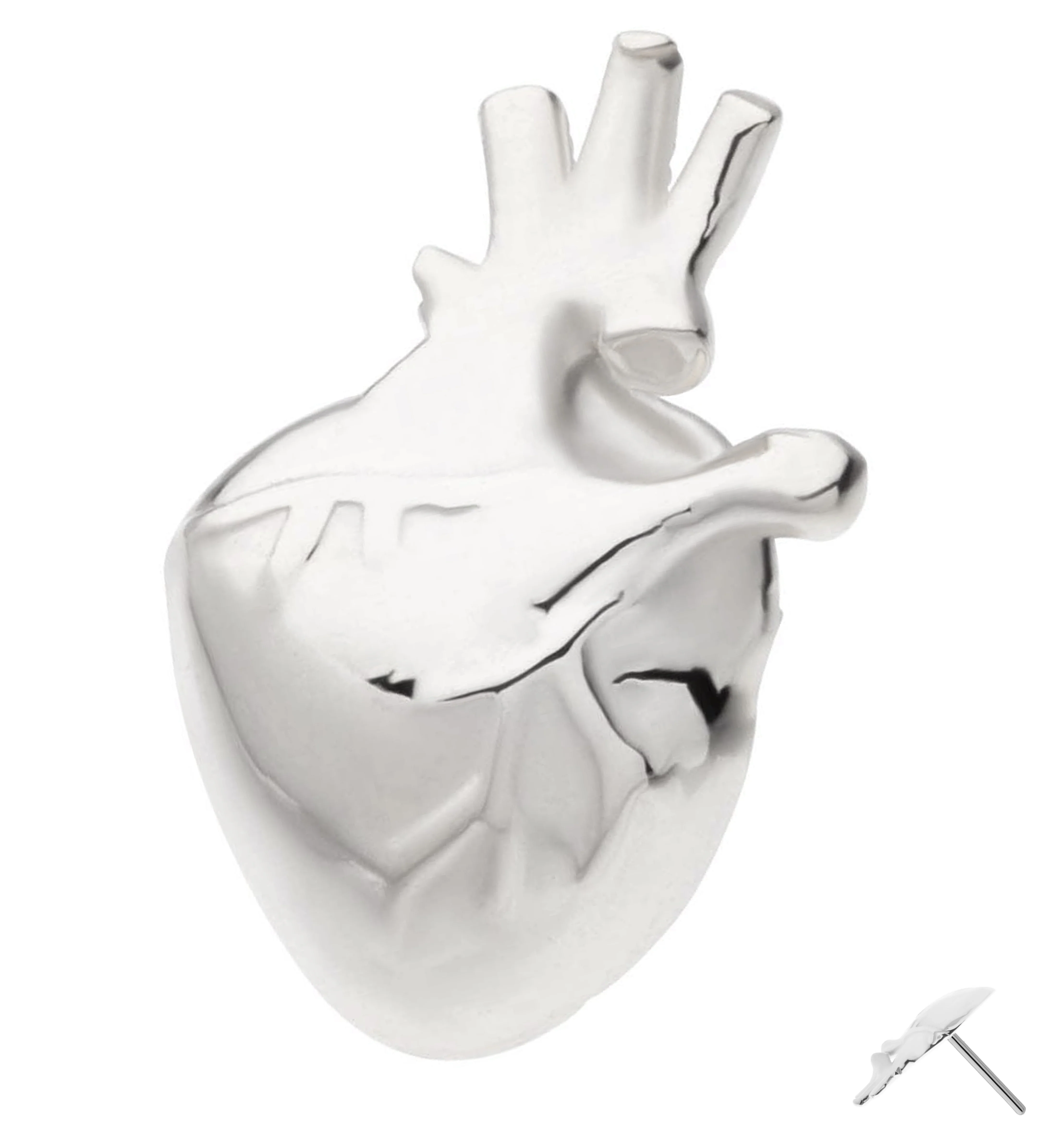 14kt White Gold Anatomical Heart Threadless Top - Mrs Treak