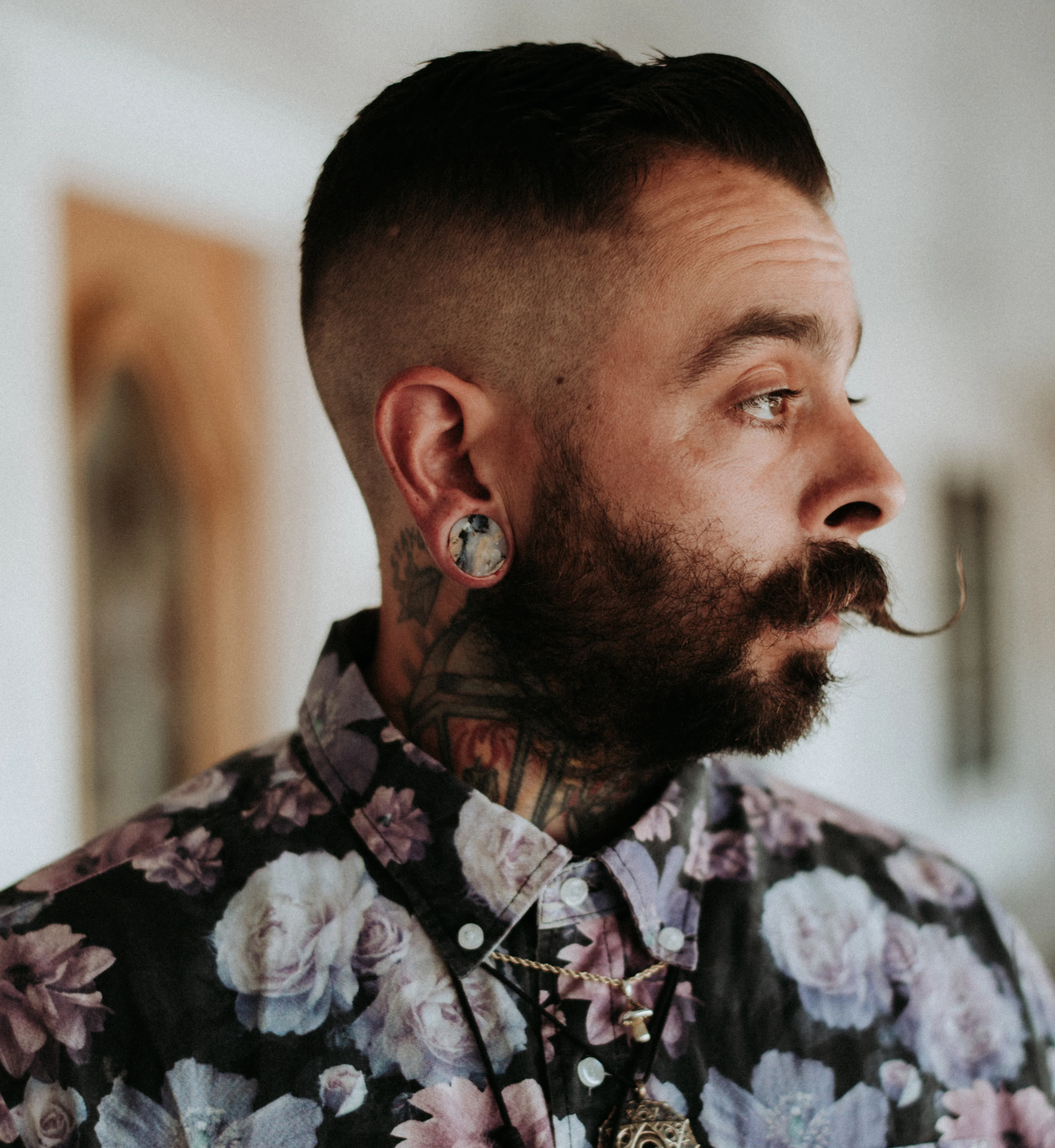 Tiger Agate Dendritic Stone Plugs - Mrs Treak