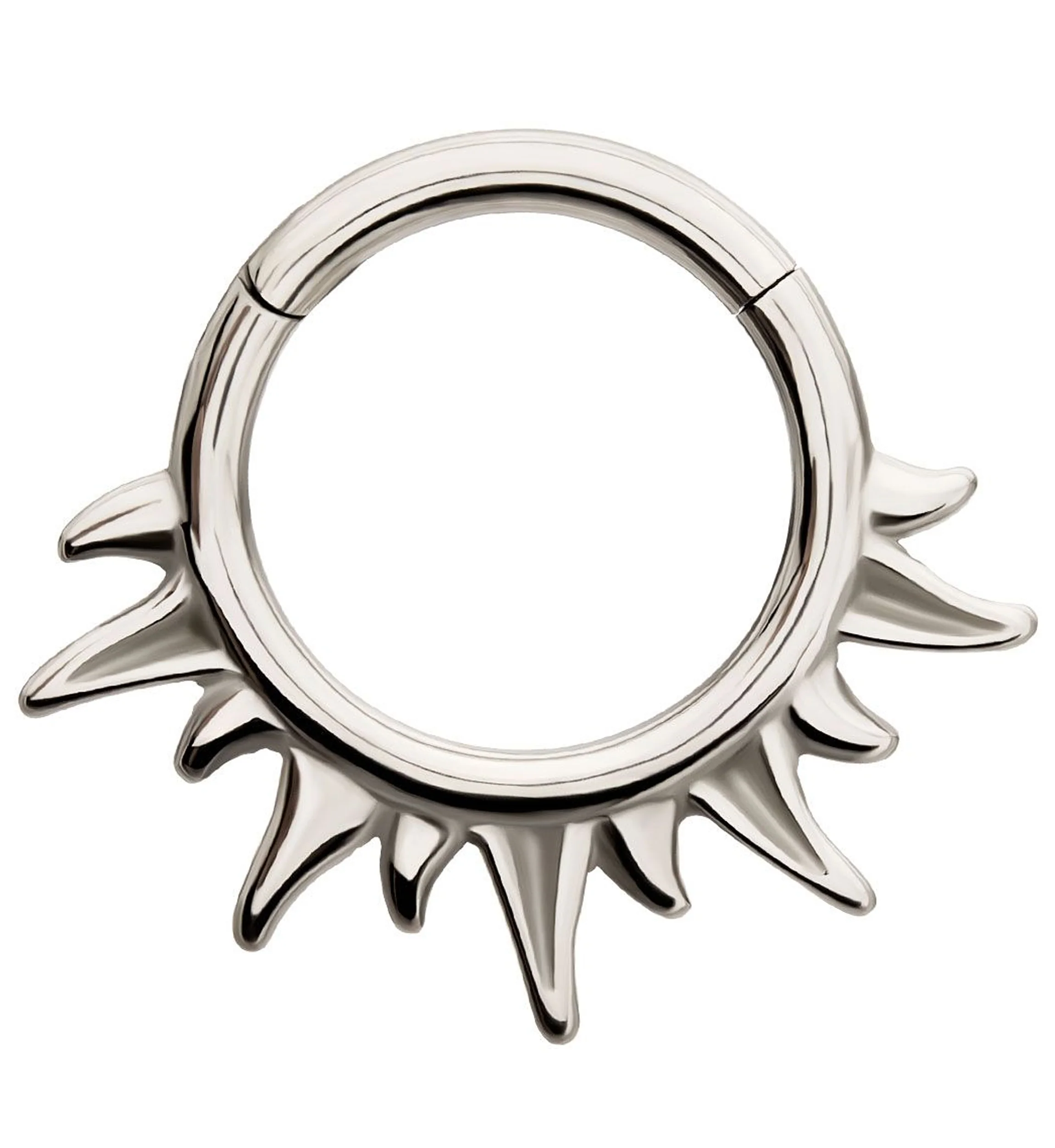 Sunshine Stainless Steel Hinged Segment Ring - Mrs Treak