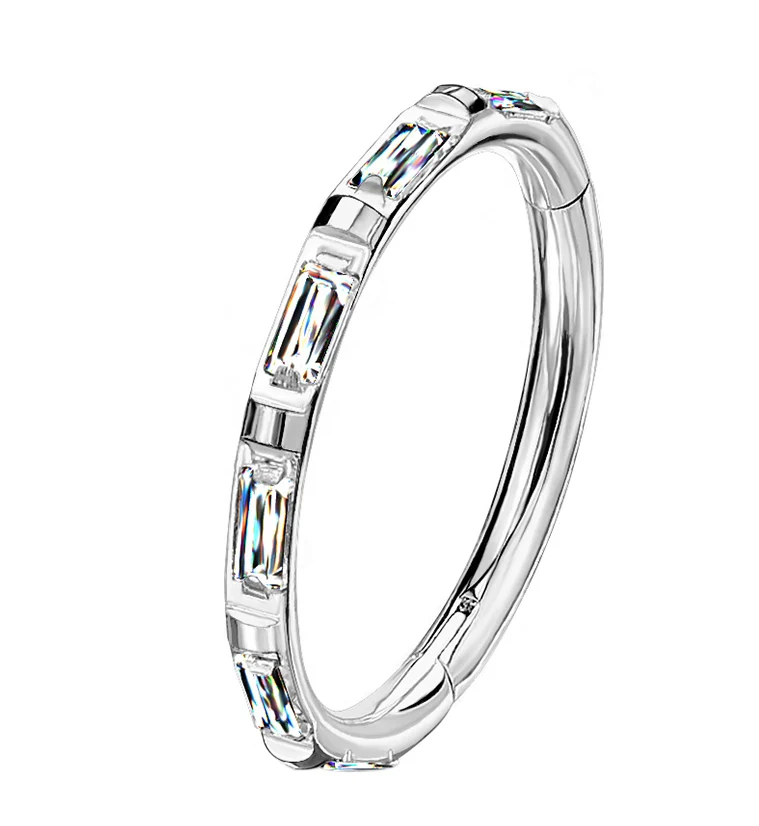 Gullion CZ Titanium Hinged Segment Ring - Mrs Treak