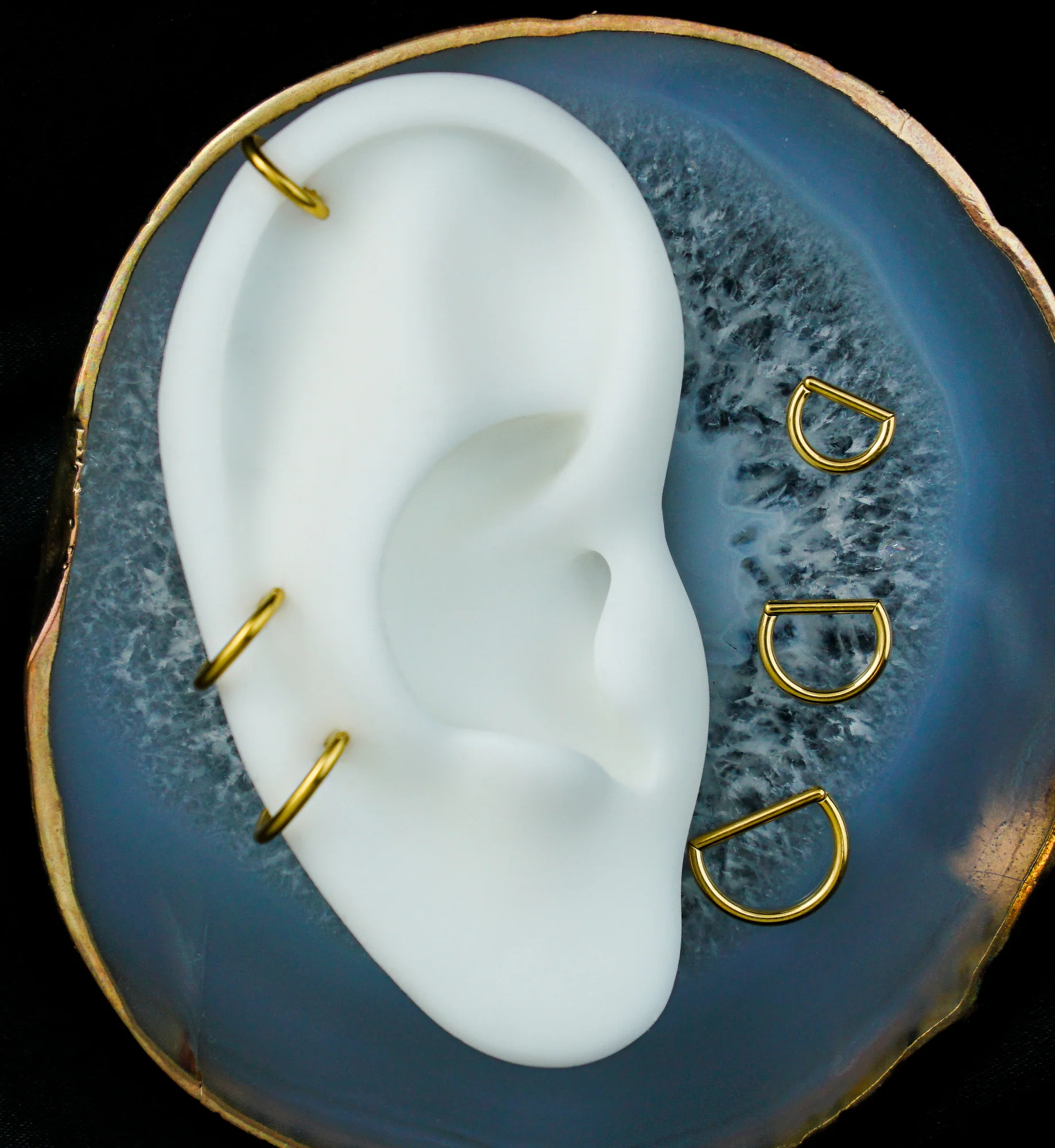 Gold PVD Titanium D-Shaped Hinged Segment Ring - Mrs Treak