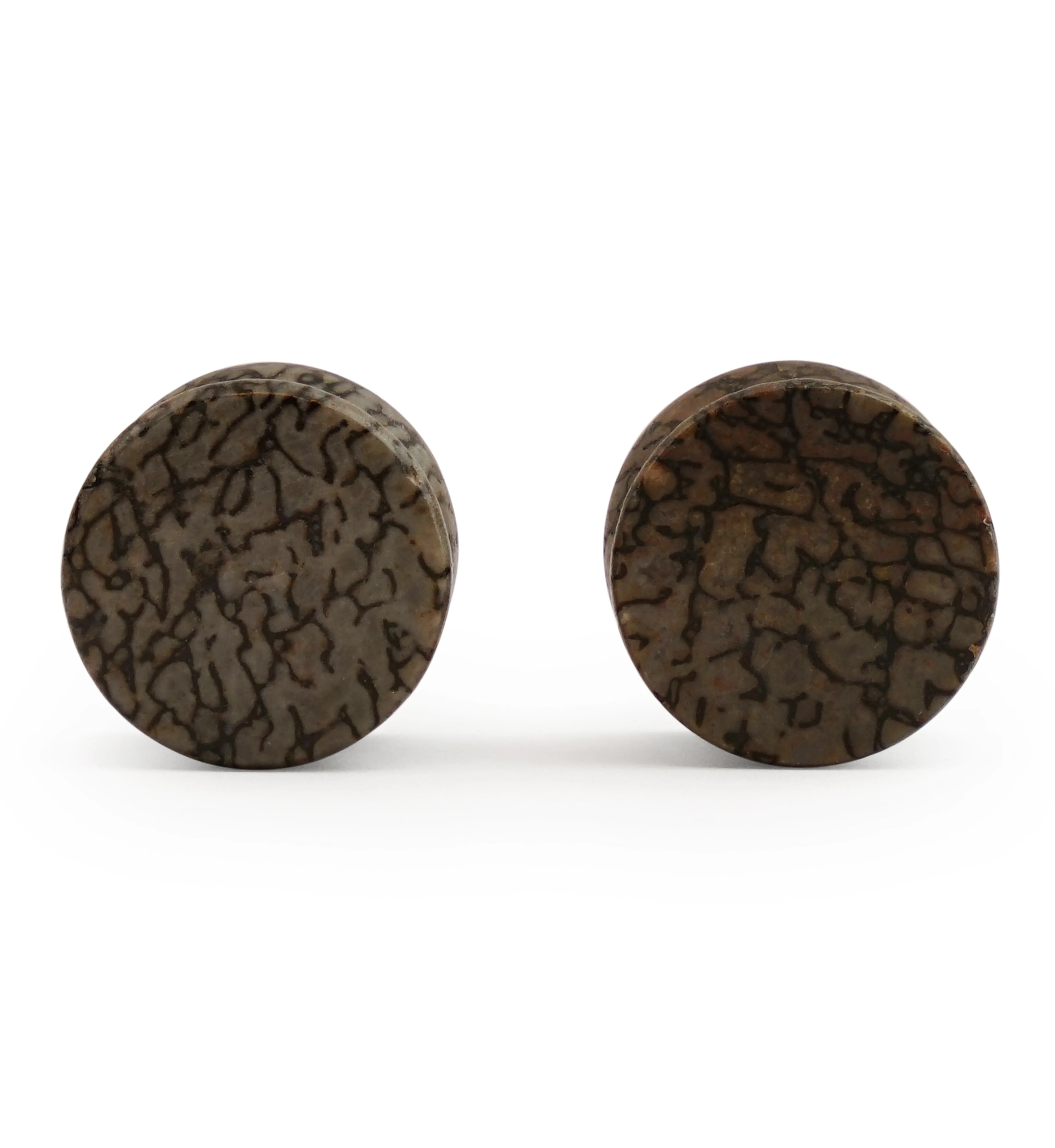 Fossilized Dinosaur Bone Plugs 5/8