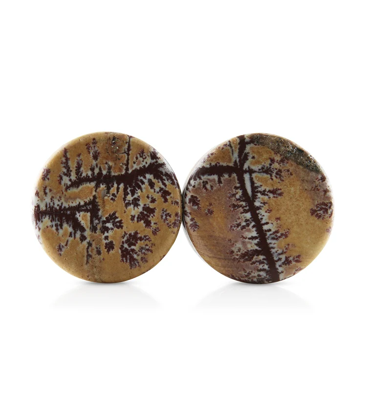 Sonoran Dendritic Rhyolite Stone Plugs 3-4