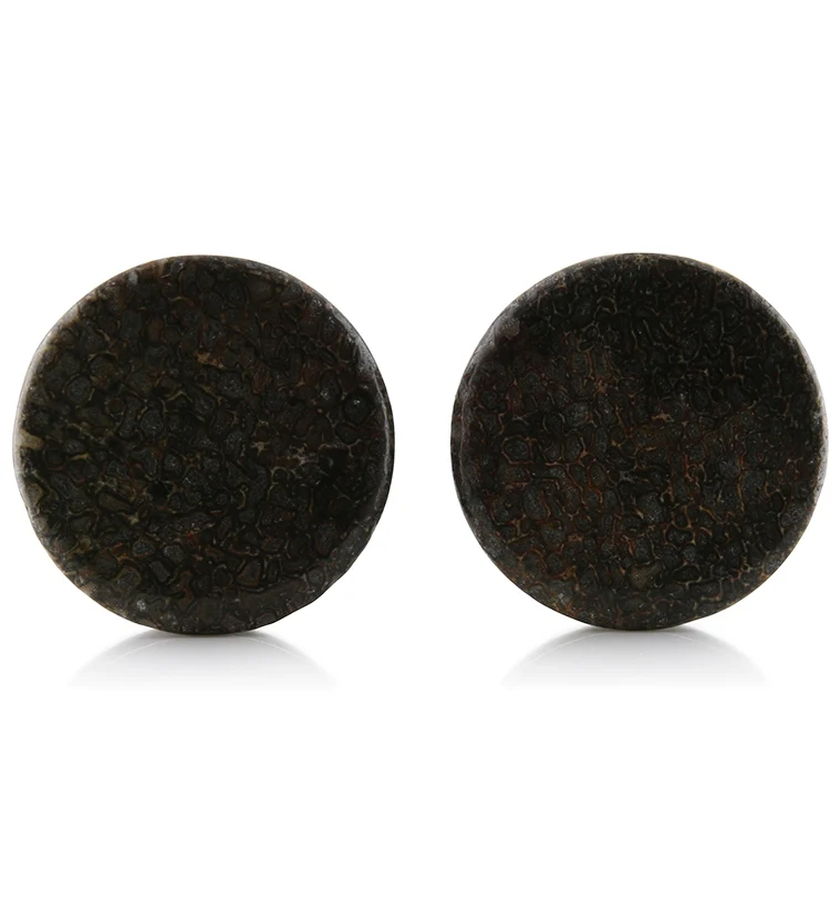 Fossilized Dinosaur Bone Plugs 1 Inch (25mm) Version 7 - Mrs Treak