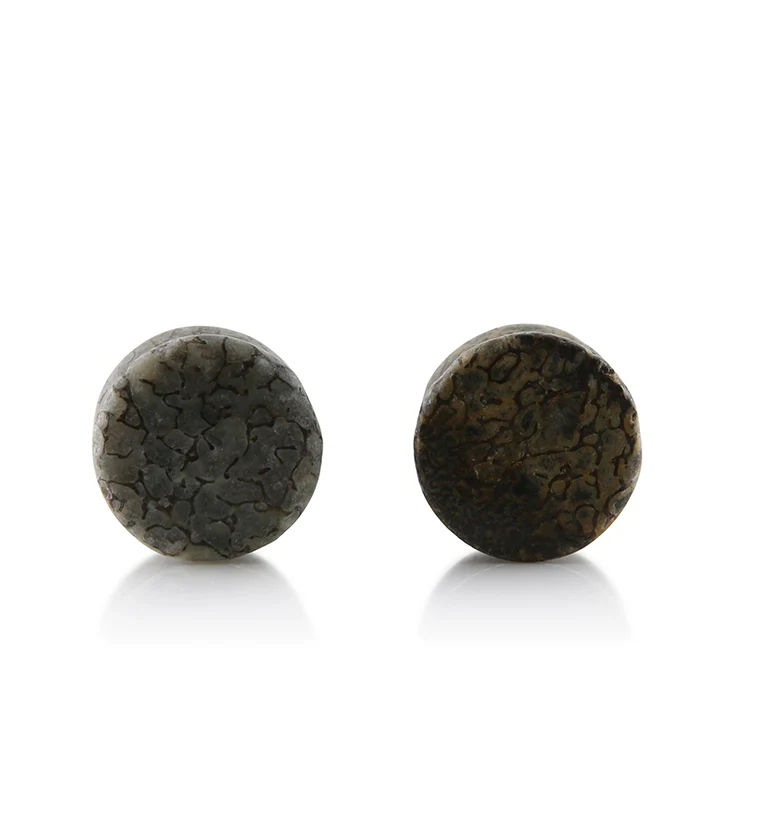 Fossilized Dinosaur Bone Plugs 00G (10mm) (Mismatched) Version 8 - Mrs Treak
