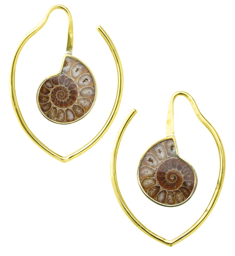 Drop Ammonite Fossil Teardrop Ear Weights - Mrs Treak