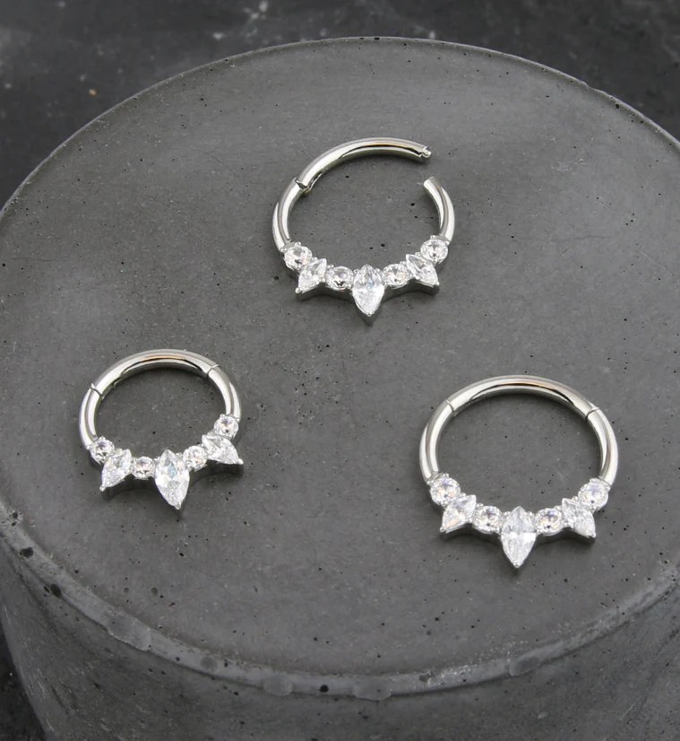 Medley Clear CZ Titanium Hinged Segment Ring - Mrs Treak