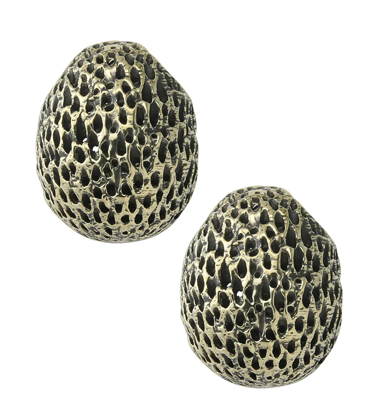 Achene Brass Ear Weights - Mrs Treak