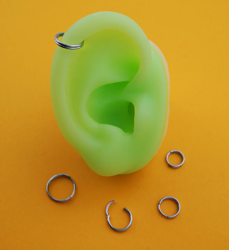 Double Row Stainless Steel Hinged Segment Ring - Mrs Treak