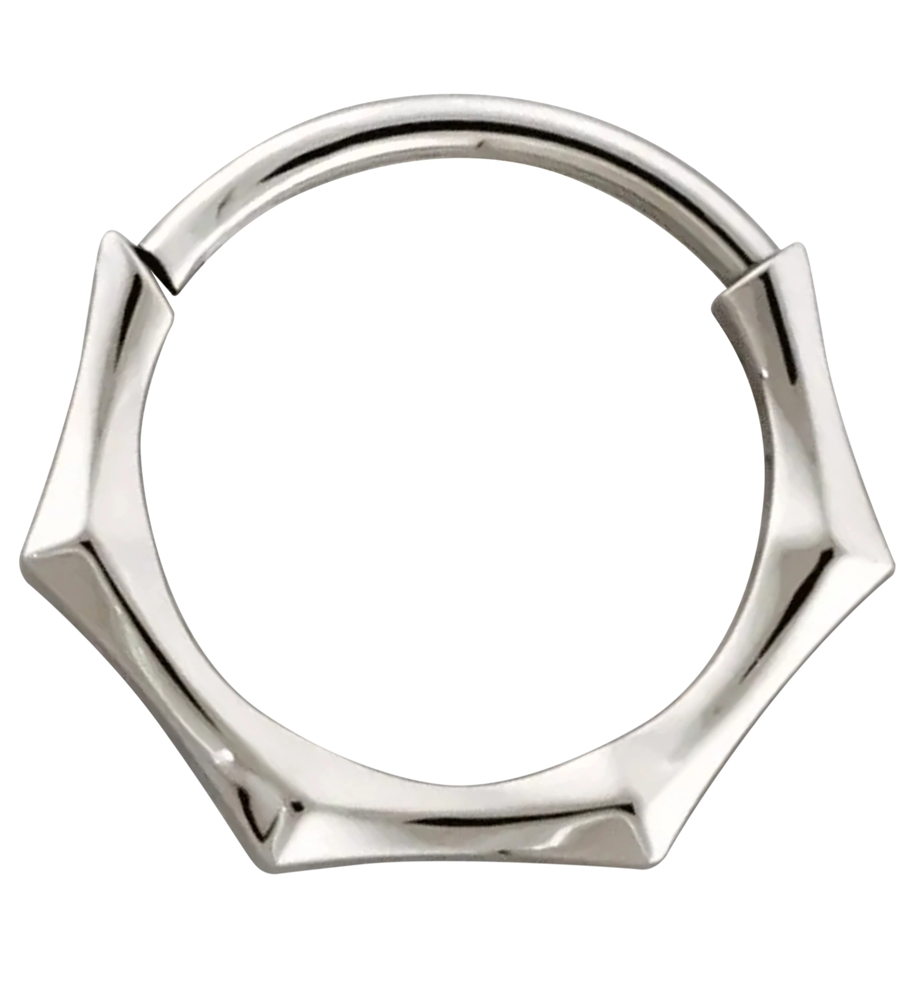 Sector Titanium Hinged Segment Ring - Mrs Treak