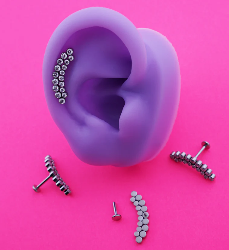 Curve Double Row Bezel CZ Titanium Internally Threaded Labret - Mrs Treak