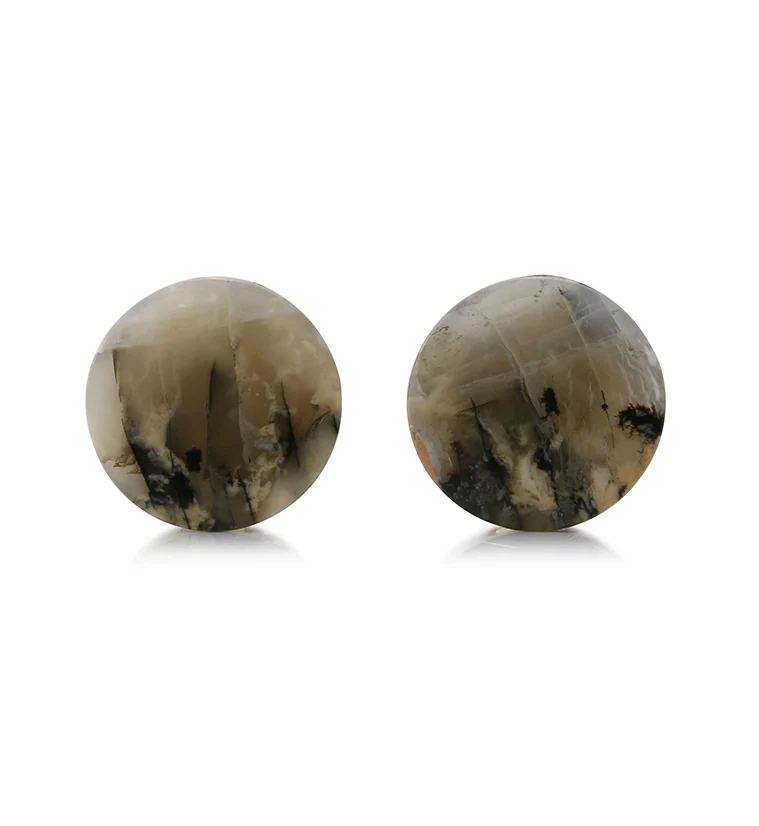 Tiger Agate Dendritic Stone Plugs 5/8
