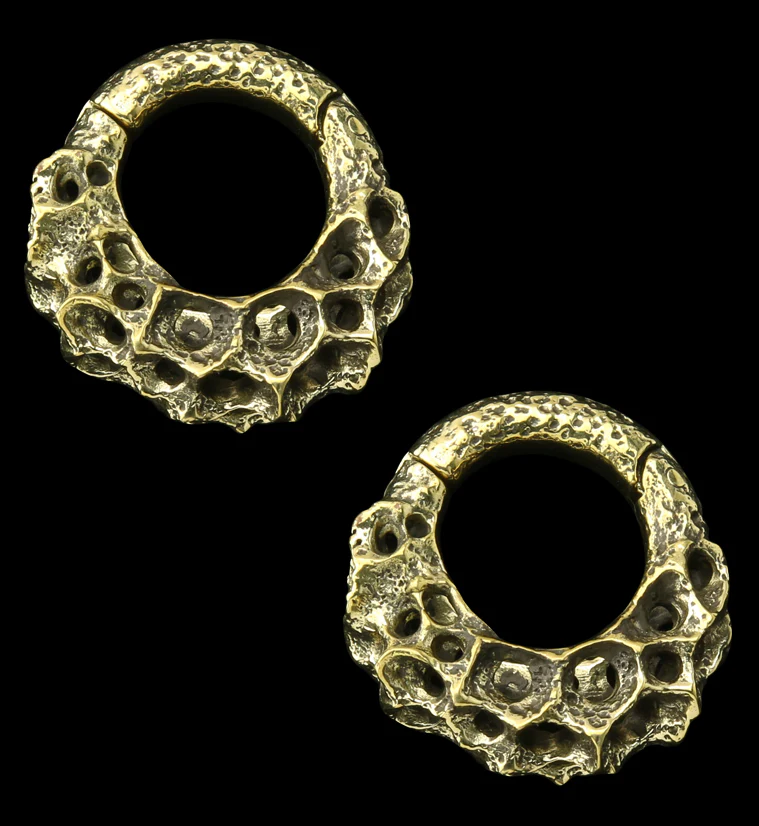 Crater Brass Hinged Ear Weights - Mrs Treak