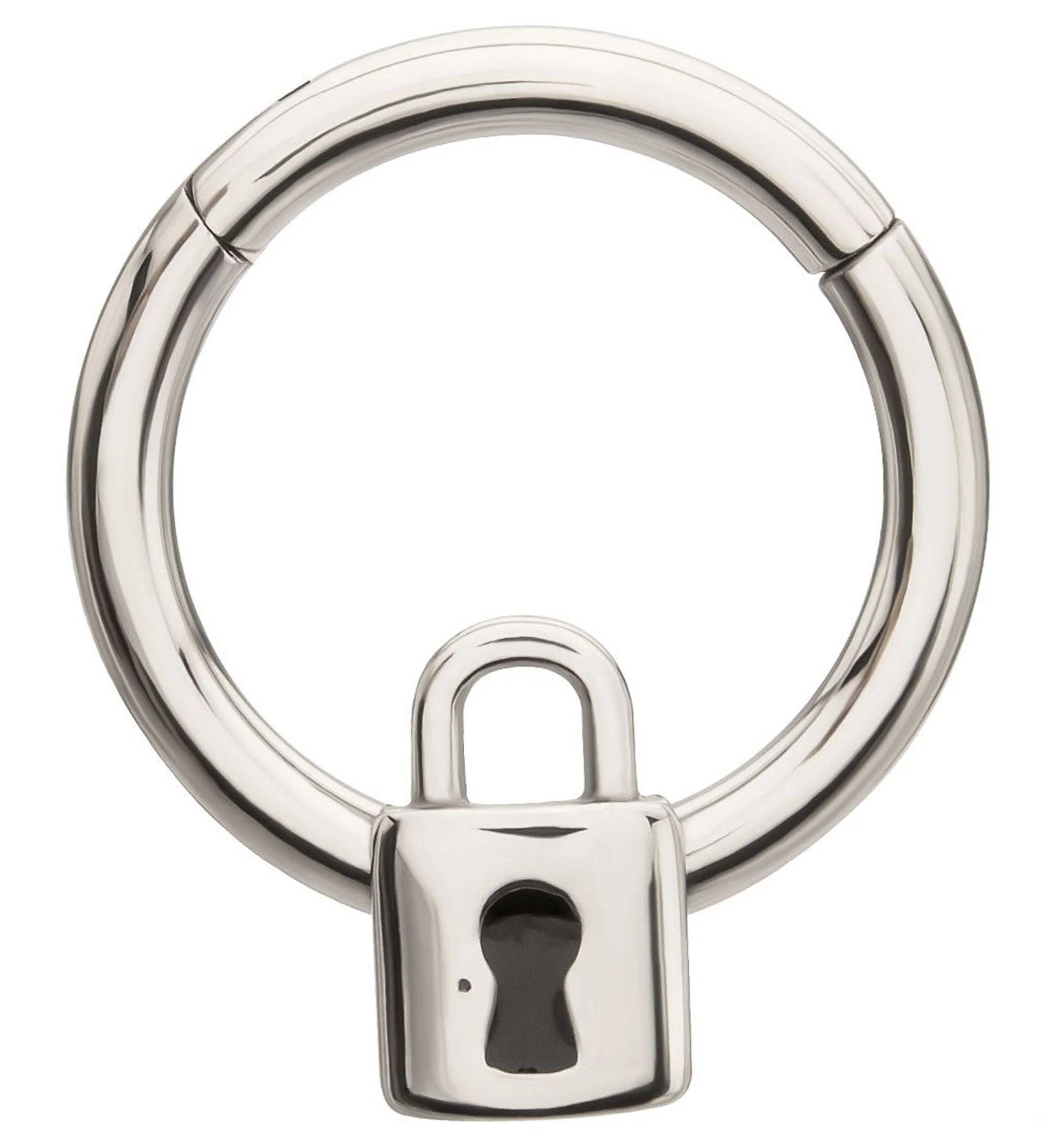 Lock Stainless Steel Hinged Segment Ring - Mrs Treak