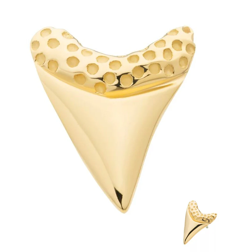 14kt Gold Shark Tooth Threadless Top - Mrs Treak